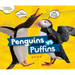 Penguins vs. Puffins