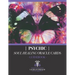 Psychic Soul Healing Oracle Guidebook: For Healing the Shadow Aspects of Self