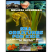Sea Creatures for Kids: A Children's Picture Book about Sea Creatures: A Great Simple Picture Book for Kids to Learn about Different Sea Creatures