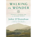 Walking in Wonder: Eternal Wisdom for a Modern World