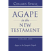 Agape in the New Testament, Volume 1