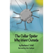 The Cellar Spider Who Went Outside
