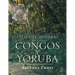 Ozain el misterio de los Congos y Yoruba
