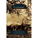 Cashmere