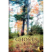 Ghosts in the Heart