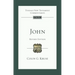 John (Revised Edition): Tyndale New Testament Commentary