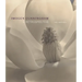 Imogen Cunningham: A Retrospective