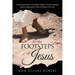 In the Footsteps of Jesus: A chronological journey through the gospels set in the geography, politics, people, power, culture and history of the day