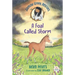 Jasmine Green Rescues: A Foal Called Storm
