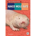 Naked Mole Rats