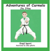 Adventures of Carmelo-Jiu Jitsu