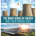 The Many Kinds of Energy and Their Unique Uses Energy and Environment Grade 4 Children's Physics Books