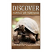 Turtle Or Tortoise - Discover: Early reader's wildlife photography book