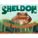 Sheldon, the Mushroom