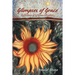 Glimpses of Grace: Reflections of a Prison Chaplain