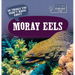 20 Things You Didn't Know about Moray Eels