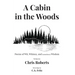 A Cabin In The Woods: Poems of Wit, Whimsy, and (sometimes) Wisdom
