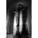 Homilies for St. Bernadette