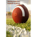 Touring America's Football Stadiums