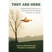 They are Here: Compelling Evidence of Extraterrestrial Ships Present on Earth
