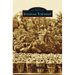 Evesham Township