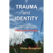 Trauma and Identity: Identity Oriented Psychotrauma Therapy: Theory and Practice