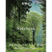Notebook: 100 Pages 8.5" X 11" Wide Ruled Line Paper