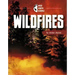 Wildfires