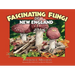 Fascinating Fungi of New England