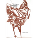 Novemberland: Selected Poems 1956-1993