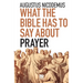 What the Bible Has To Say About Prayer