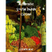 Authentic South Indian Cuisine