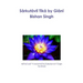 Sārkutāvlī Tīkā by Giānī Bishan Singh