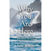 Why You Are Here: and other stories