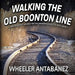 Walking the Old Boonton Line: A Photographic Journey on the Abandoned Rails of New Jersey