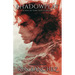 Shadowplay (Willowbrook Book Three): A Tale of Hurt and Comfort - A Gay M/M Fantasy Romance Novel
