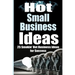 Hot Small Business Ideas: 25 Smokin' Hot Start Up Business Ideas To Spark Your Entrepreneurship Creativity And Have You In Business Fast!