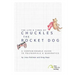 The Life & Times of Chuckles the Rocket Dog: A Companionable Guide to Polynomials & Quadratics