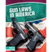 Gun Laws in America