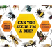 Can You See If I'm a Bee?
