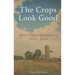 The Crops Look Good: News from a Midwestern Family Farm