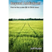 Beyond Addictions: Free to Live a New Live in Christ Jesus
