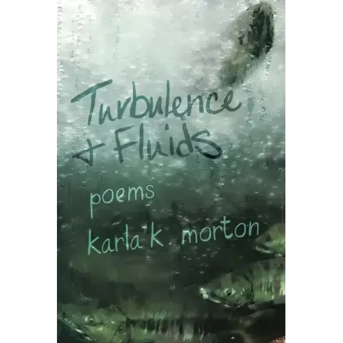 Turbulence & Fluids: poems