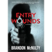 Entry Wounds: A Supernatural Thriller