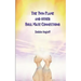 The Twin Flame and Other Soul Mate Connections (handy size)