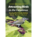 Attracting Birds in the Carolinas: Creating Bird-Friendly Habitats from the Mountains to the Coast