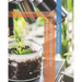 Plant Cell Biochemistry and Metabolism: Vol II (Carbohydrate, Lipid & Nitrogen Metabolism)