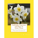 Daffodils, Narcissus and How To Grow Them: Hardy Plants For Cut Flowers With a Guide To Varieties of Daffodils and Narcissus