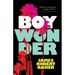 Boy Wonder (Valancourt 20th Century Classics)