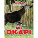 THE OKAPI Do Your Kids Know This?: A Children's Picture Book